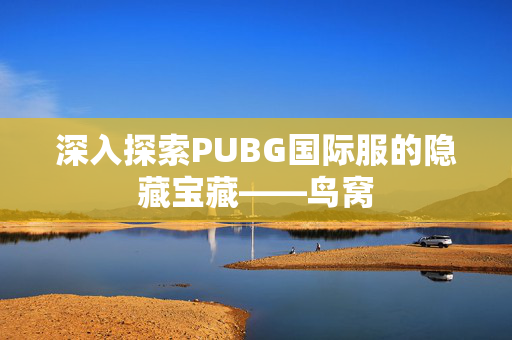 深入探索PUBG国际服的隐藏宝藏——鸟窝