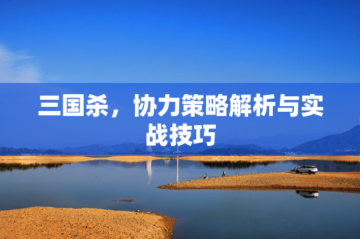 三国杀，协力策略解析与实战技巧