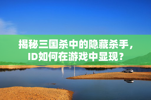 揭秘三国杀中的隐藏杀手，ID如何在游戏中显现？
