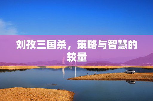 刘孜三国杀，策略与智慧的较量