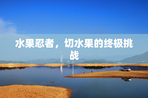 水果忍者，切水果的终极挑战