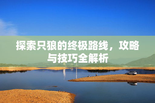 探索只狼的终极路线，攻略与技巧全解析