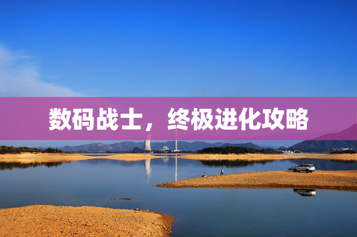 数码战士，终极进化攻略