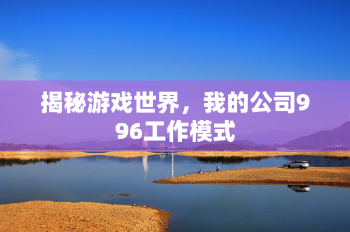 揭秘游戏世界,我的公司996工作模式 揭秘游戏世界,我的公司996工作模式