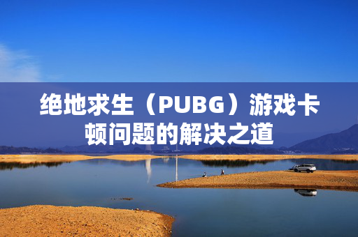 绝地求生（PUBG）游戏卡顿问题的解决之道