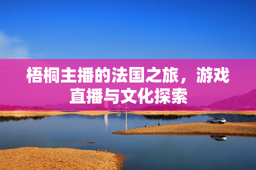 梧桐主播的法国之旅,游戏直播与文化探索 梧桐主播的法国之旅,游戏直播与文化探索