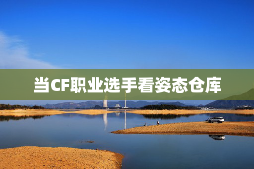当CF职业选手看姿态仓库 当CF职业选手看姿态仓库