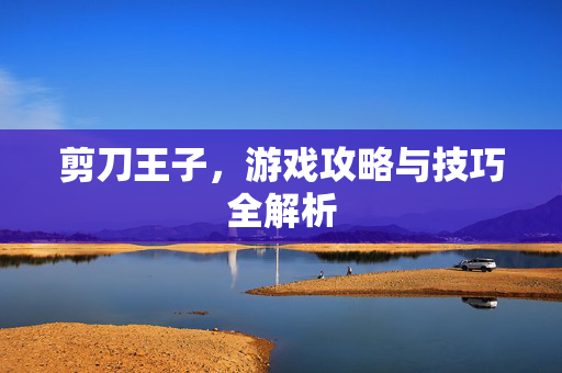 剪刀王子,游戏攻略与技巧全解析 剪刀王子,游戏攻略与技巧全解析