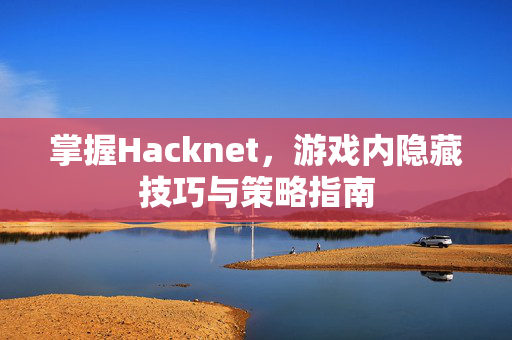 掌握Hacknet，游戏内隐藏技巧与策略指南