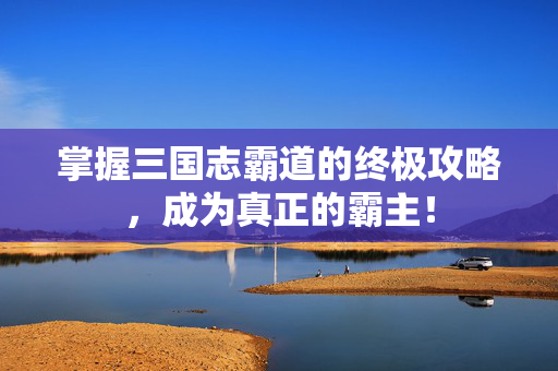 掌握三国志霸道的终极攻略，成为真正的霸主！