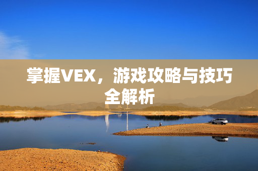 掌握VEX，游戏攻略与技巧全解析